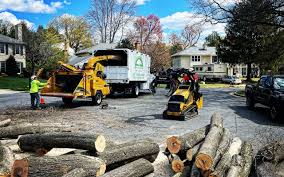 Best Tree Trimming and Pruning  in Grove, OK